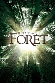 Il Etait Une Foret