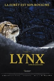 Lynx