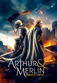 Arthur & Merlin: Knights Of Camelot