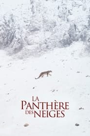 La Panthere Des Neiges