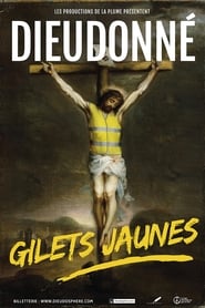 Dieudonne Gilets Jaune