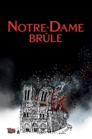 Notre Dame Brule